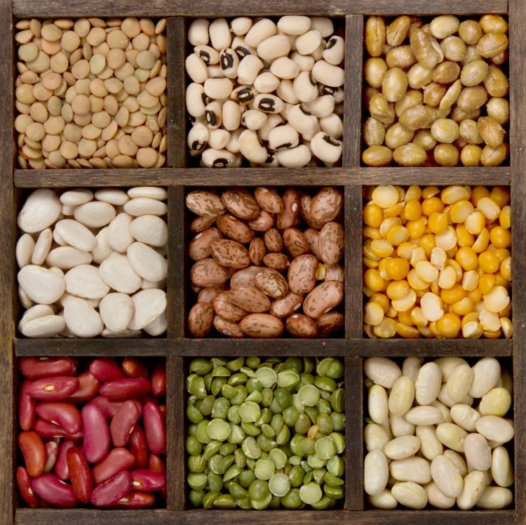 CD.30.62 ASSORTED BEANS