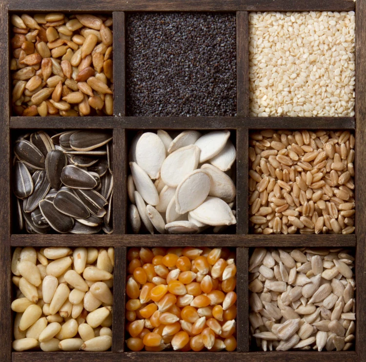 CD.30.64 EDIBLE SEEDS