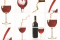 CG.23.13 RED WINE S.jpg