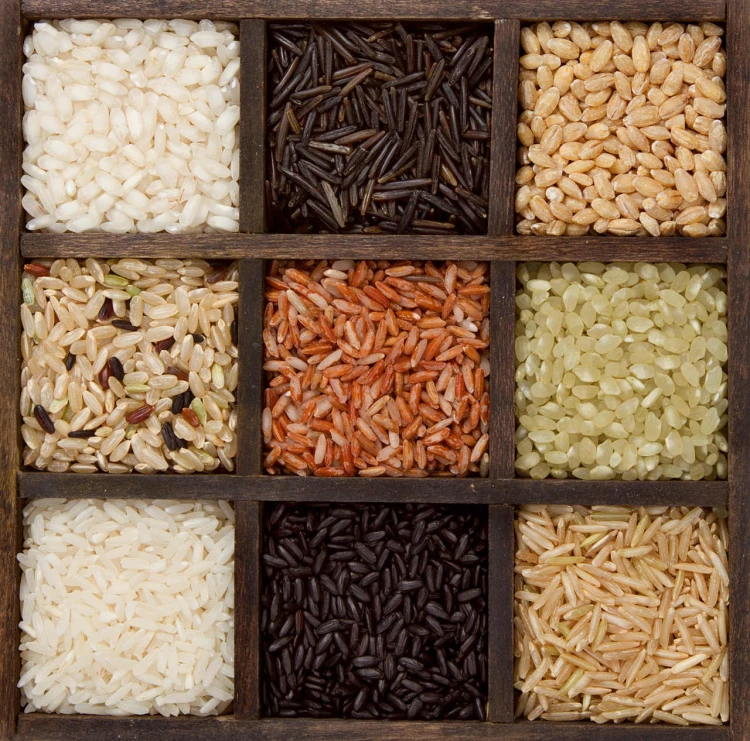 CG.30.63 RICE VARIETES