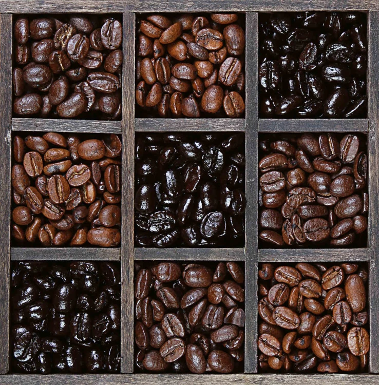 CG.30.67 COFFEE BEANS - Easy.jpg