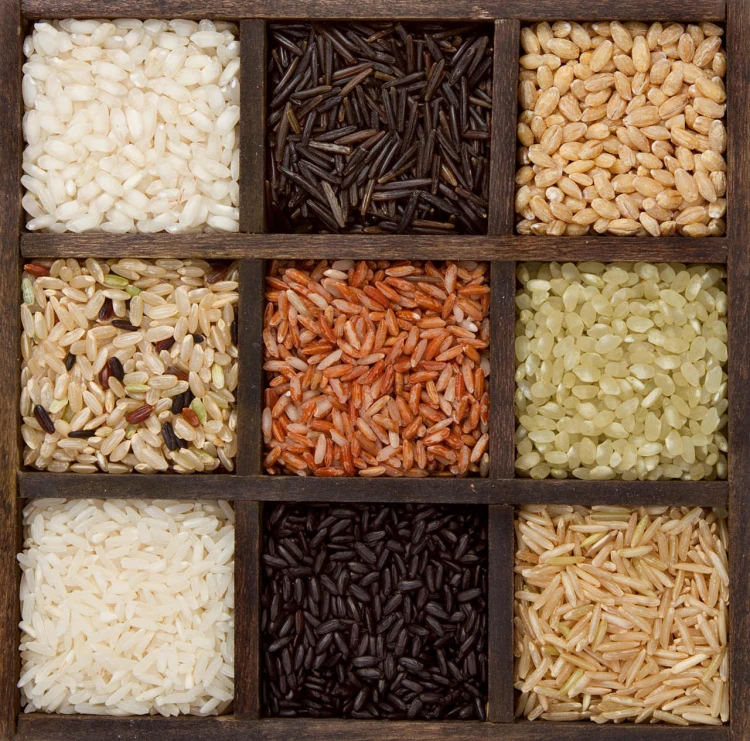 CG.30.63 RICE VARIETES