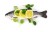 CG.36.07 FRESH FISH