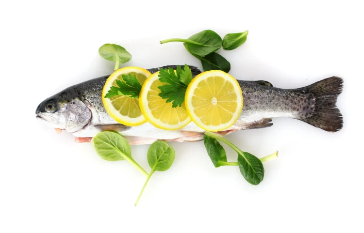 CG.36.07 FRESH FISH