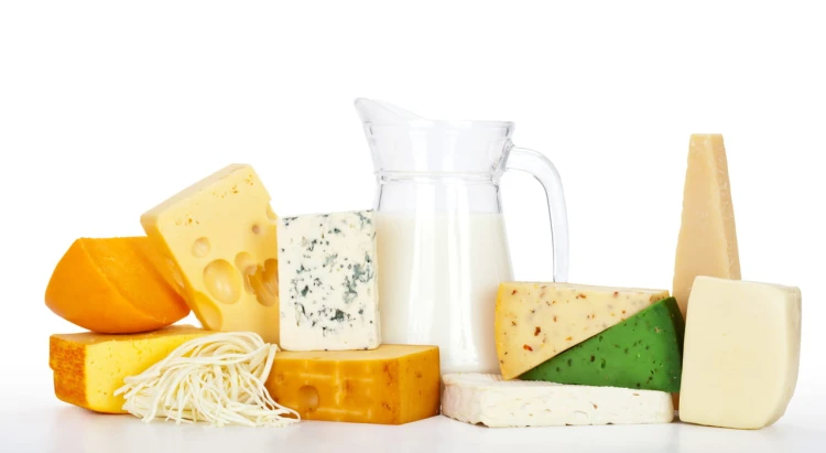9.3.CG.36.09 CHEESE.jpg