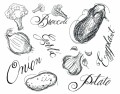 CG.36.30.VEGETABLES