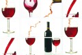CG.23.13 RED WINE_Easy-Resize.com.jpg